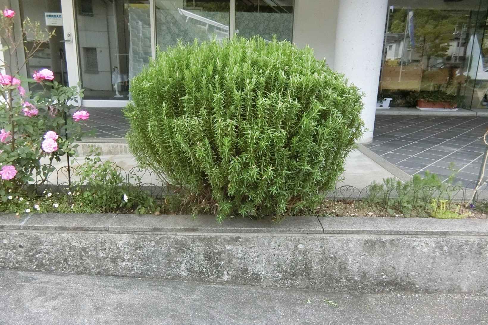 ４月２７日 火 今日の青少年の家 平成3年 ようこそ高知県立高知青少年の家へ